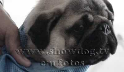 Clique sobre a foto para fechar